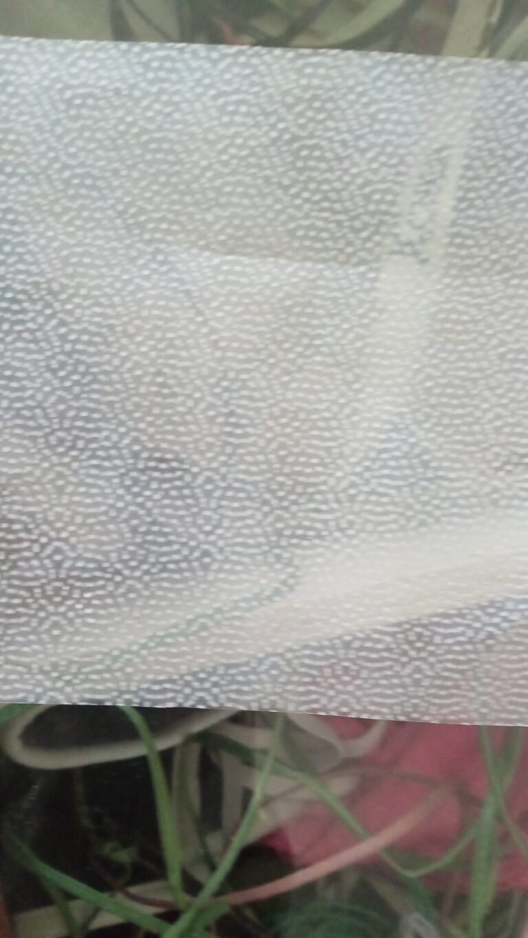 WhatsApp Image 2025-05-09 at 12.12.59 PM