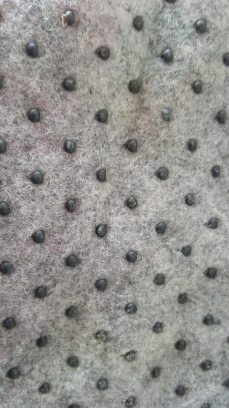 WhatsApp Image 2025-05-09 at 12.13.01 PM (1)